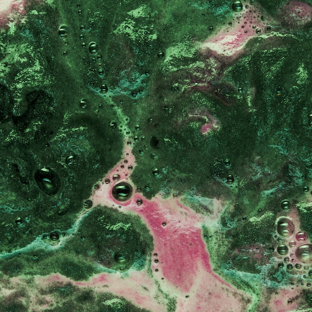 A detailed satellite image of a rainforest, with AI algorithms highlighting areas of deforestation and predicting future risks based on historical data.