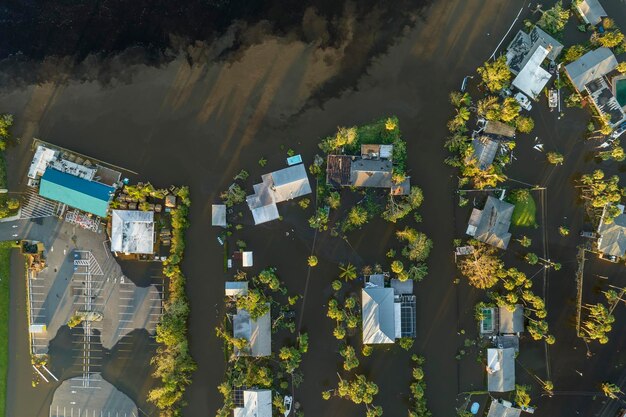 AI in Disaster Relief: Improving Emergency Response by 15%?
