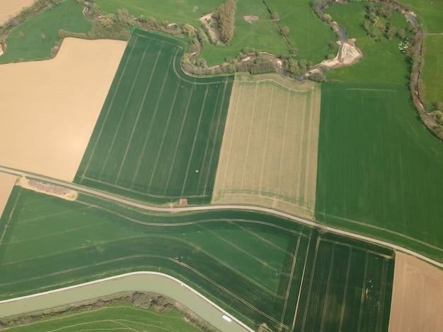 Revolutionizing US Agriculture: AI-Powered Crop Yields