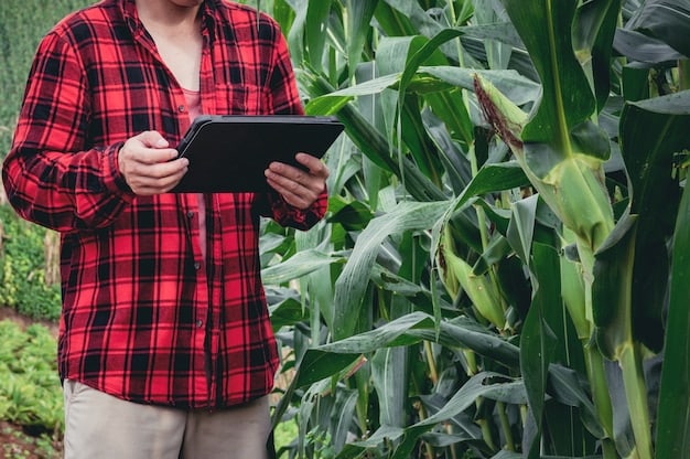A US farmer using a tablet in the middle of a cornfield. The tablet displays a user-friendly AI dashboard showing real-time data on soil moisture, crop health, and weather forecasts. The farmer is using this information to make immediate decisions about irrigation and fertilization.