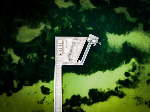 A detailed view of a solar panel installation with a drone hovering above, capturing thermal images for AI analysis. Heat signatures are highlighted on the solar panels, indicating areas where efficiency is compromised.