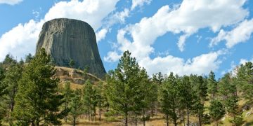 AI in Environmental Conservation: Protecting US Ecosystems - Cover Image